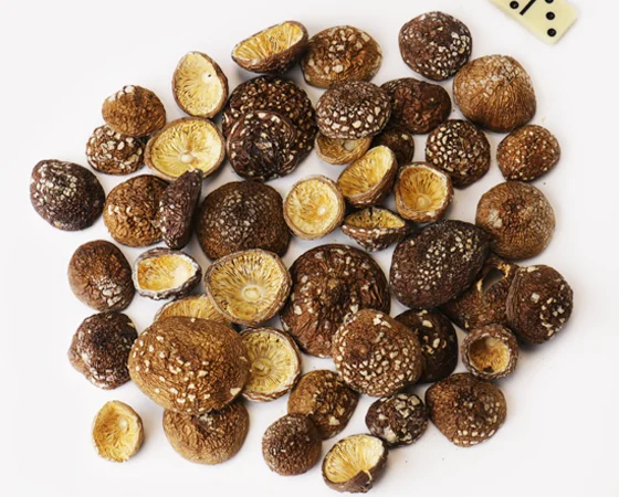 Мухомор пантерный на продажу - фото № 1