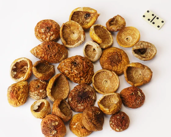 Червоний мухомор для підвищення тонусу - фото № 2