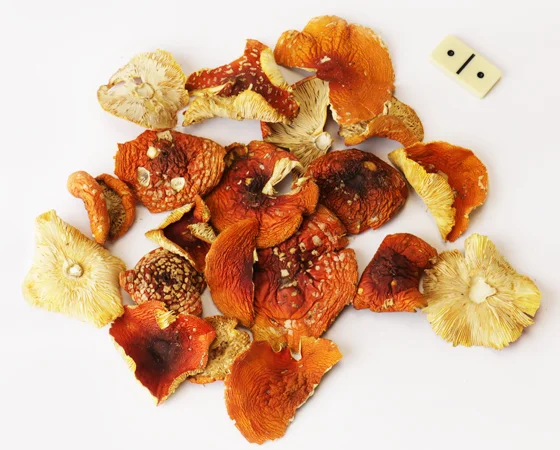 Червоний мухомор для підвищення тонусу - фото № 5