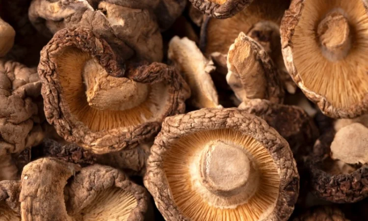 Продаємо Шиїтаке, сушений, від 100 г, український виробник Savvy Foods, цілий / мелений - фото № 5