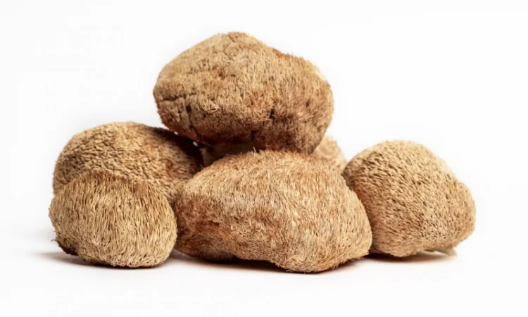 Продаємо Їжовик гребінчастий, сушений, від 100 г, український виробник Savvy Foods - фото № 1