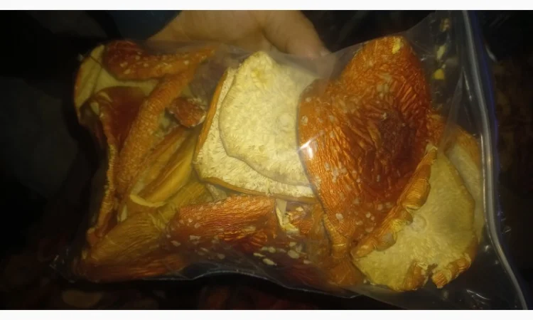 Сушеный мухомор урожай 2024 в Осмолода - фото № 8