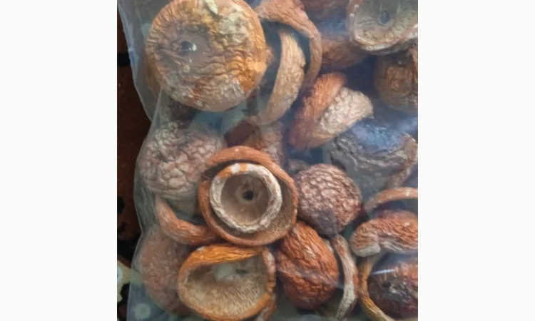 Гріб мухомор сухий шляпкі на продаж - фото № 3