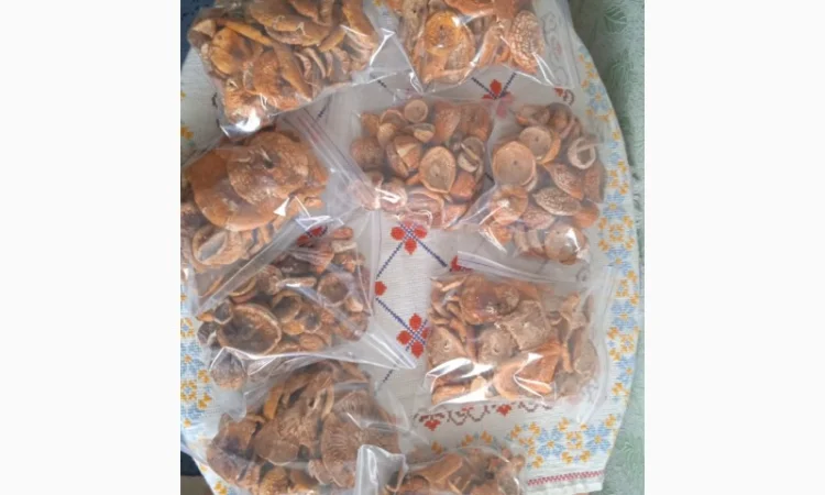 Гріб мухомор сухий шляпкі на продаж - фото № 4