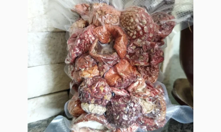 Продаю сушений мухомор пантерний і червоний - фото № 7