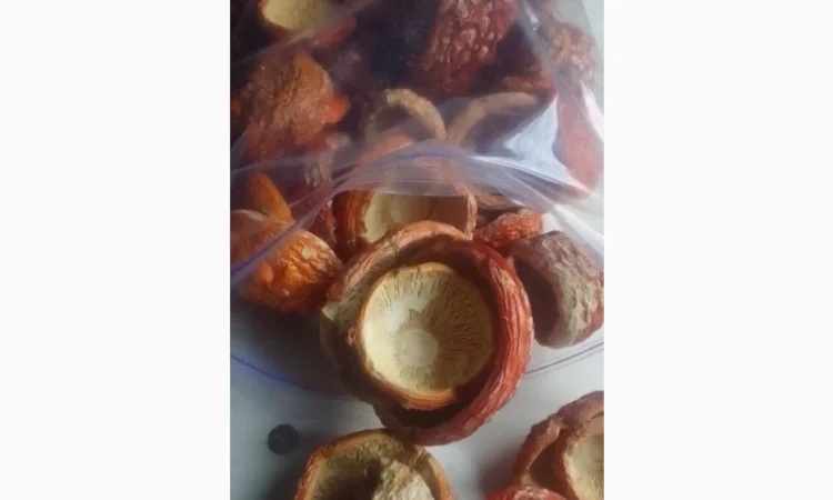 Продаж Червоні мухомори 1 та 2 сорт - фото № 2