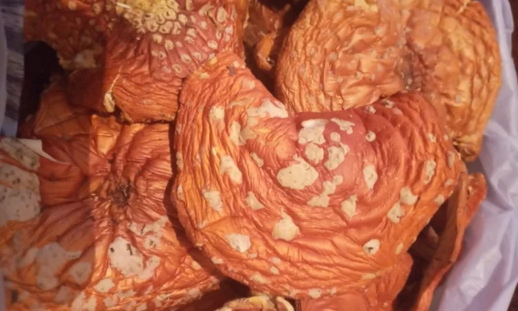 Мухомори червоні, сухі - фото № 1