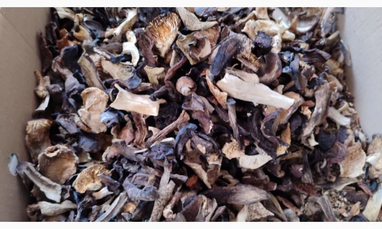 Продаю грибний мікс, сушені гриби різних видів - фото № 1