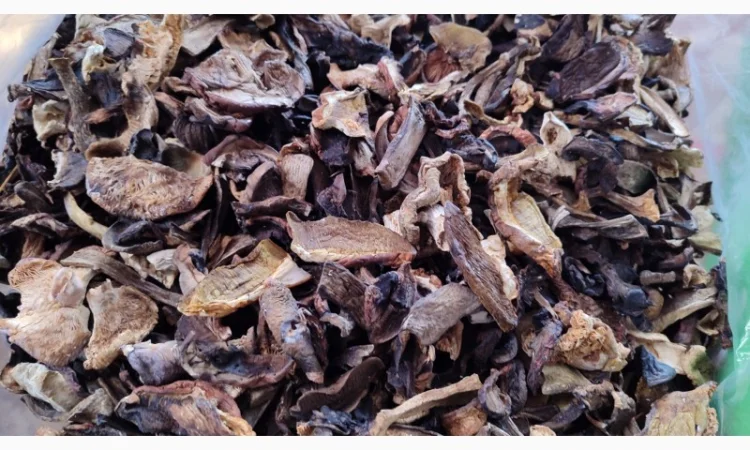 Продаю грибний мікс, сушені гриби різних видів - фото № 2