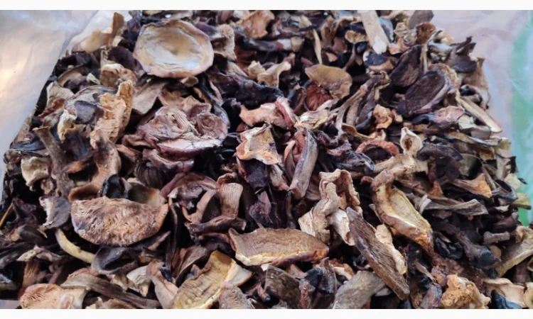 Продаю грибний мікс, сушені гриби різних видів - фото № 3