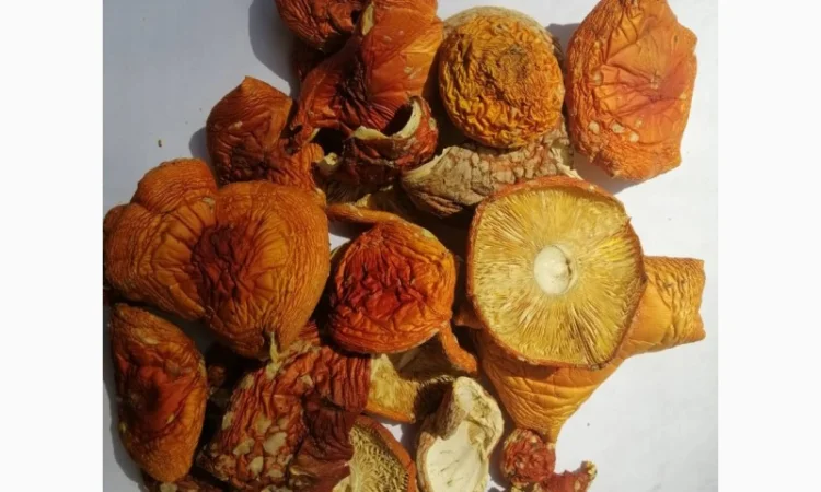 Продажа сушеных мухоморов - фото № 1