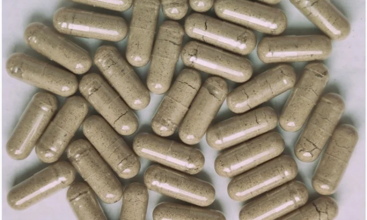 Королівський мухомор в капсулах 60шт. по 0.5г - фото № 1