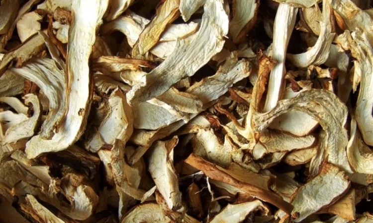 Сушені білі гриби на продаж - фото № 1