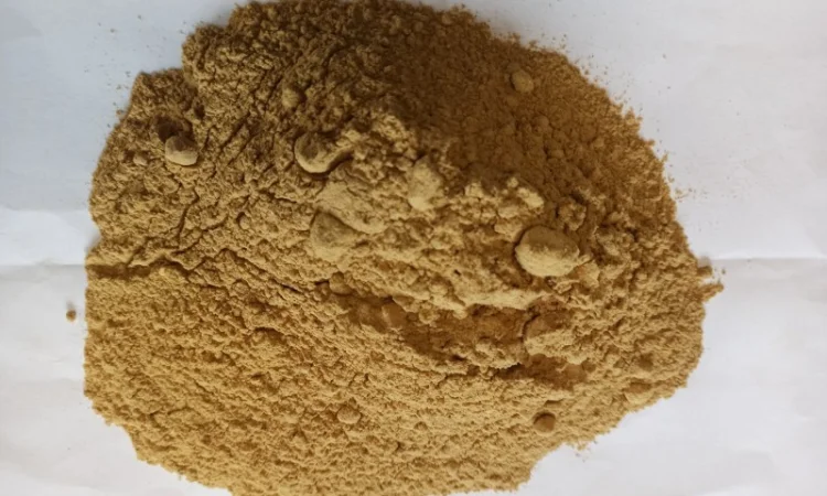 Мухоморы очищенные и перемеленные оптом - фото № 1