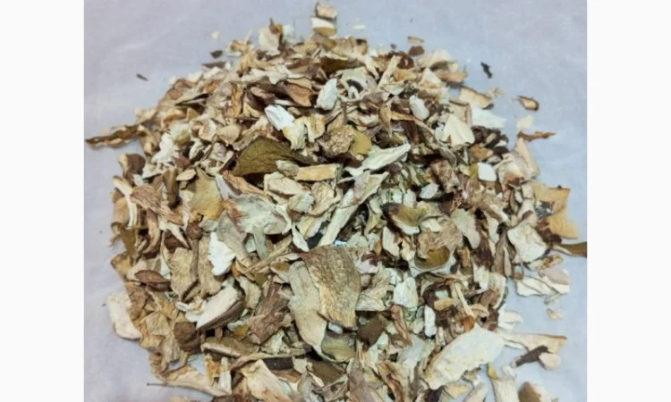 Порошок 100% білого гриба 1 сорту без будь якихось добавок - фото № 2