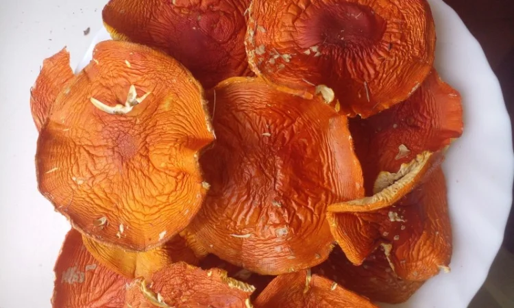 Сушеные шляпы красного мухомора - фото № 1