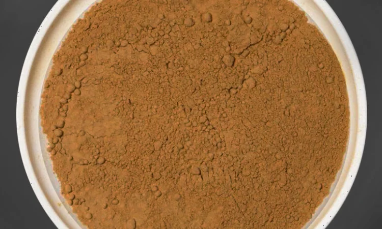 ЭКСТРАКТ ЕЖОВИКА ГРЕБЕНЧАТОГО в порошке Ежевик Герициум Львиная грива - фото № 1