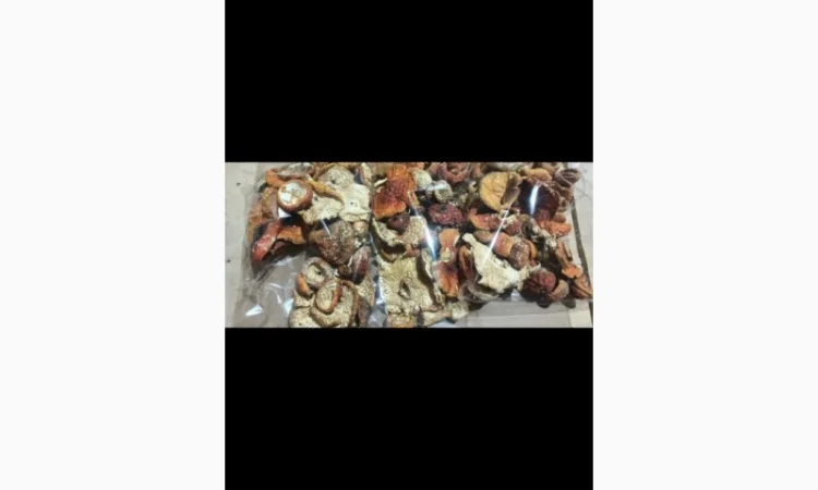 Сушені гриби мухомор на продаж - фото № 2