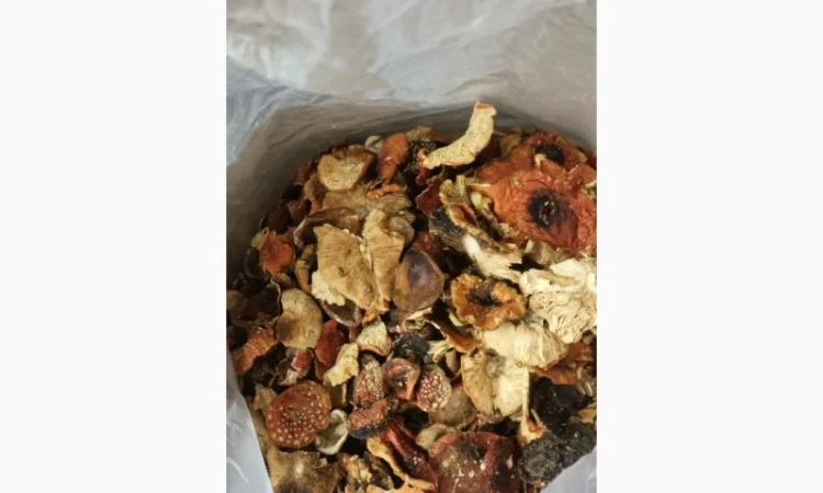 Сушені гриби мухомор на продаж - фото № 3
