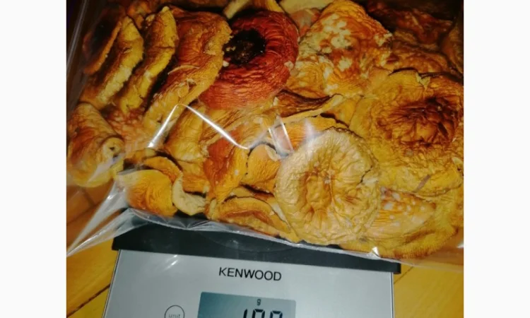 Сушеный Красный Мухомор на продажу - фото № 10