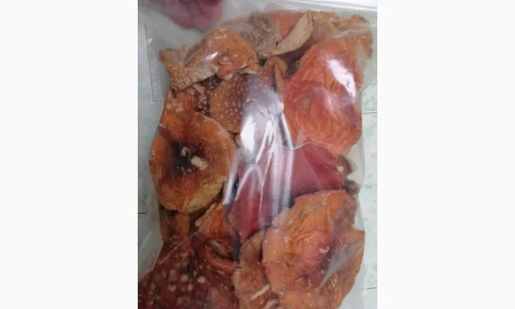 Сушеный Красный Мухомор на продажу - фото № 2