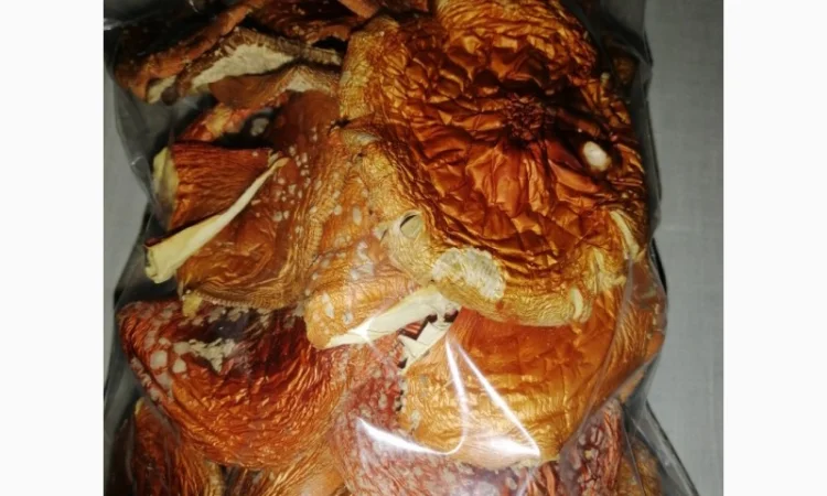 Сушеный Красный Мухомор на продажу - фото № 3