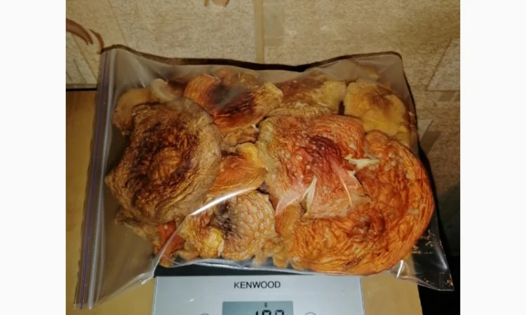 Сушеный Красный Мухомор на продажу - фото № 9