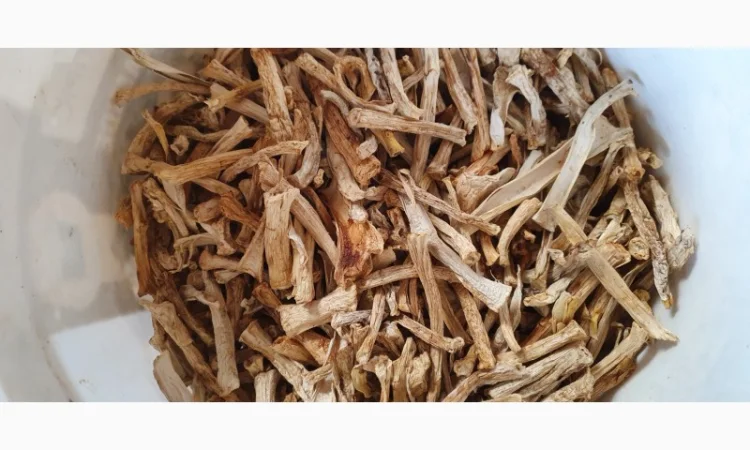 Сушені ніжки червоних мухомор - фото № 1