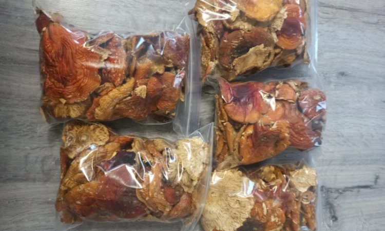 Червоні мухомори на продаж - фото № 2