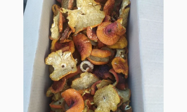 Червоні мухомори мелені на продаж - фото № 1