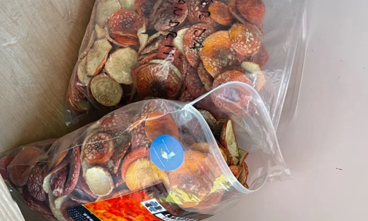 Сушені мухомори, 1-й сорт - фото № 3