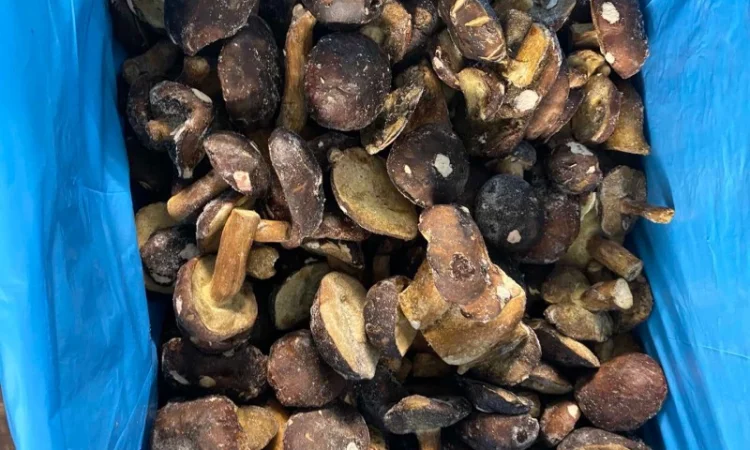 Продам заморожені польські гриби - фото № 1