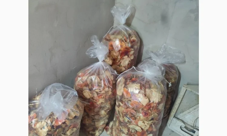 Куплю червоні мухомори мікс 1-2 сорт - фото № 3