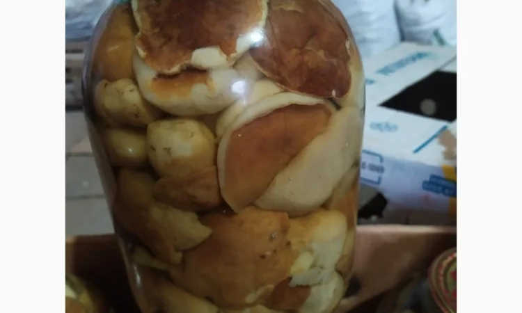 Продам мариновані маслята, опята, білий гриб, сироїжки - фото № 10