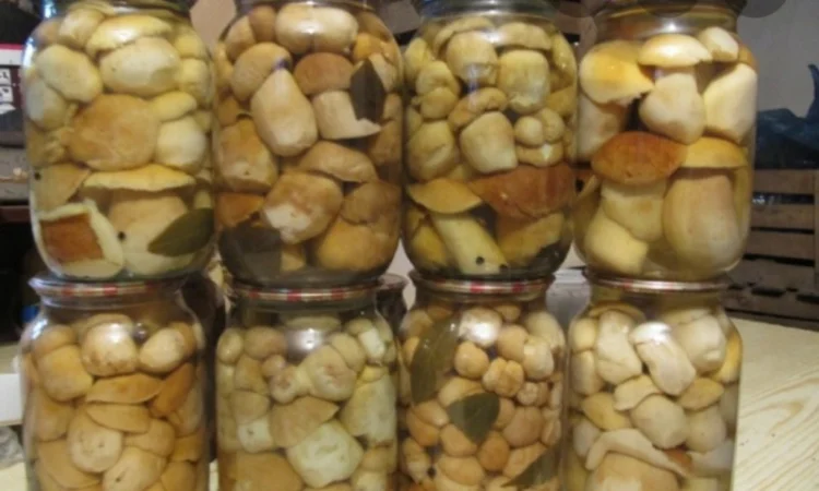 Продам мариновані маслята, опята, білий гриб, сироїжки - фото № 2