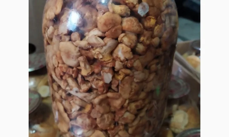 Продам мариновані маслята, опята, білий гриб, сироїжки - фото № 4