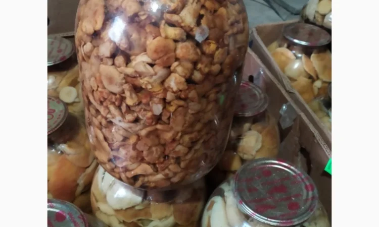 Продам мариновані маслята, опята, білий гриб, сироїжки - фото № 5