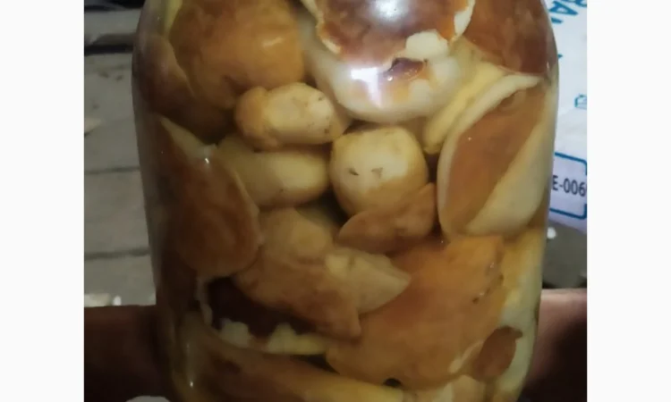 Продам мариновані маслята, опята, білий гриб, сироїжки - фото № 6