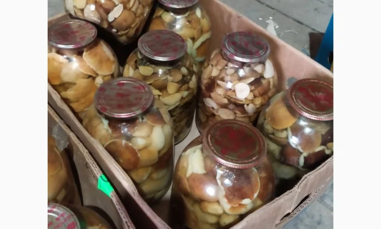 Продам мариновані маслята, опята, білий гриб, сироїжки - фото № 7