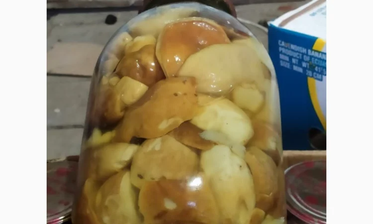 Продам мариновані маслята, опята, білий гриб, сироїжки - фото № 8