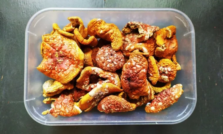 Мухомор червоний сушений: продаж - фото № 1