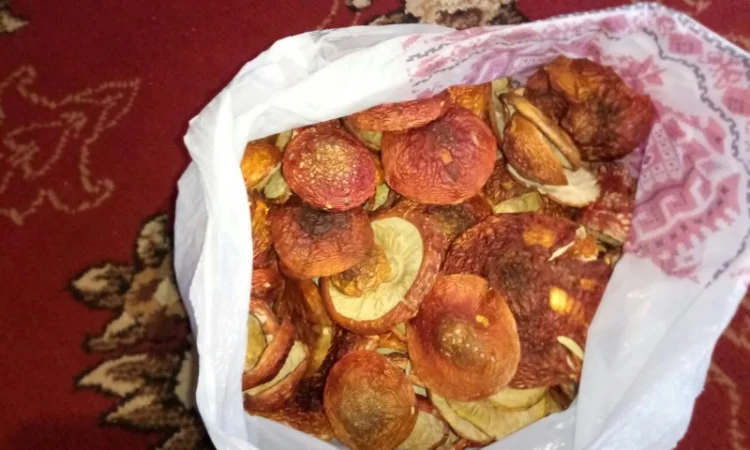 Продаю мухомор червоний, собранный в 2025 году - фото № 1