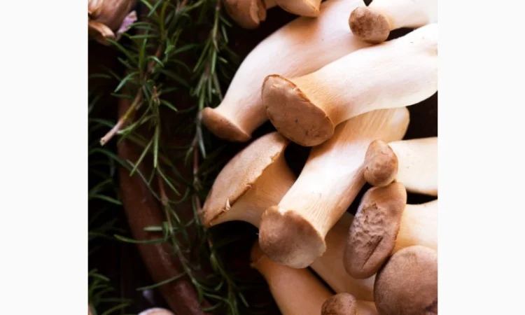 Свежие грибы Еринги - фото № 4