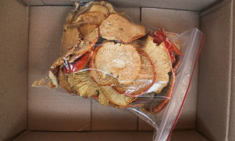 Мухомор Червоний Amanita muscaria, висушений - фото № 4