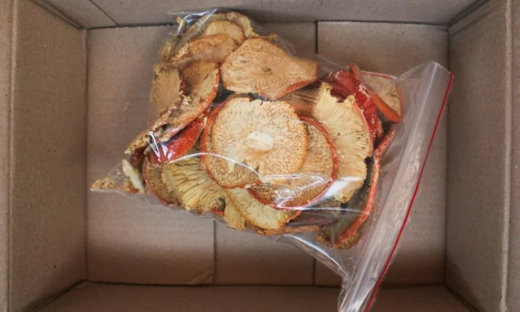 Мухомор Червоний Amanita muscaria, висушений - фото № 5