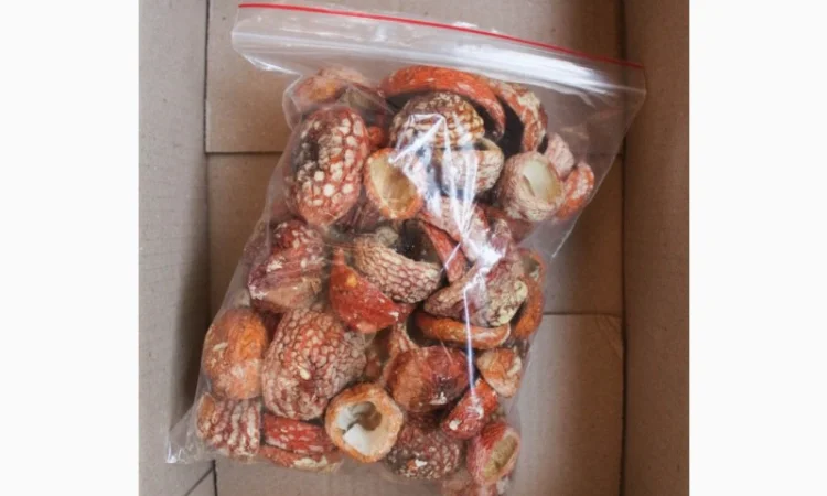 Мухомор Червоний Нерозкриті Капелюшки у вакуумній упаковці - фото № 4