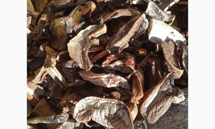 Сухие лесные грибы из Закарпатя подосиновик подберезовик цены указаны за 1 кг - фото № 2