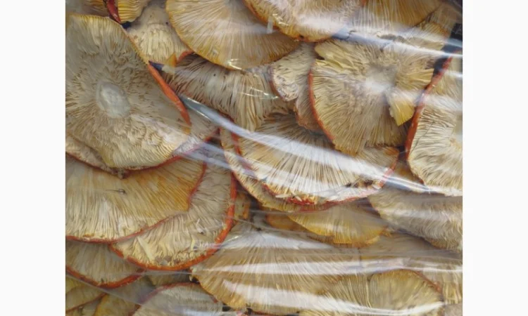 Сушений червоний мухомор 40 кг - фото № 1