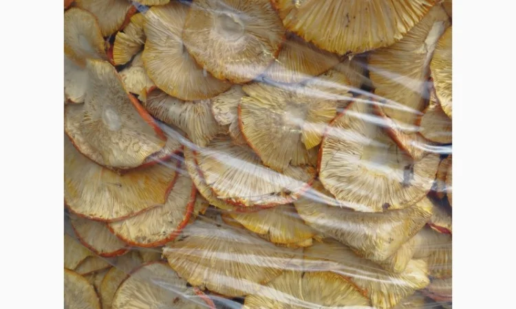 Сушений червоний мухомор 40 кг - фото № 3