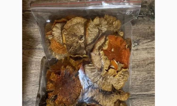 Сушені мухомори сушена шапочка мухомора - фото № 3